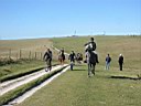 South Downs Way 0023.JPG
